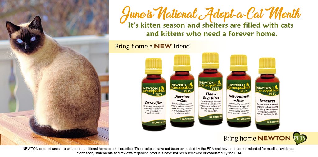 NewtonHomeopath's tweet photo. June is National Adopt-a-Cat Month! Bring Home a New Friend! Bring Home NEWTON! https://t.co/p0C25JYBQV #cats #kittens #adoptashelterecat #animalrescue #naturalmedicineforpets #naturalremediesforpets #homeopathy #homeopathyforpets #homeopathics #newtonhomeopthics https://t.co/i2INXtR0iE