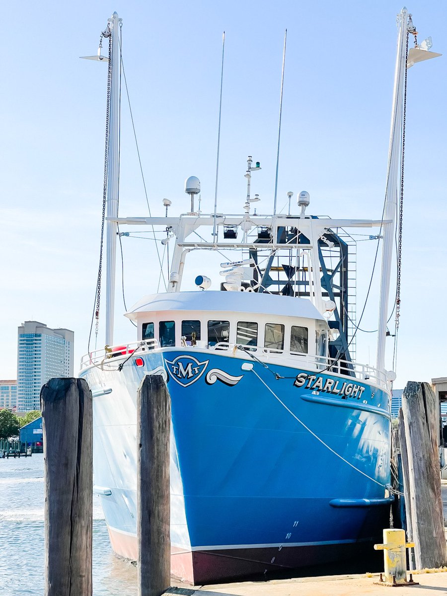 SeaWatchSeafood's tweet photo. Save the sea to see the future by thinking blue and going green. Happy #worldoceandeay from your friends at @seawatchseafood! 🌊🐟
#seawatch #sustainableseafood #sustainability #seafood #oceanlife #savetheocean #mscbluefish https://t.co/skHx6KRiIJ
