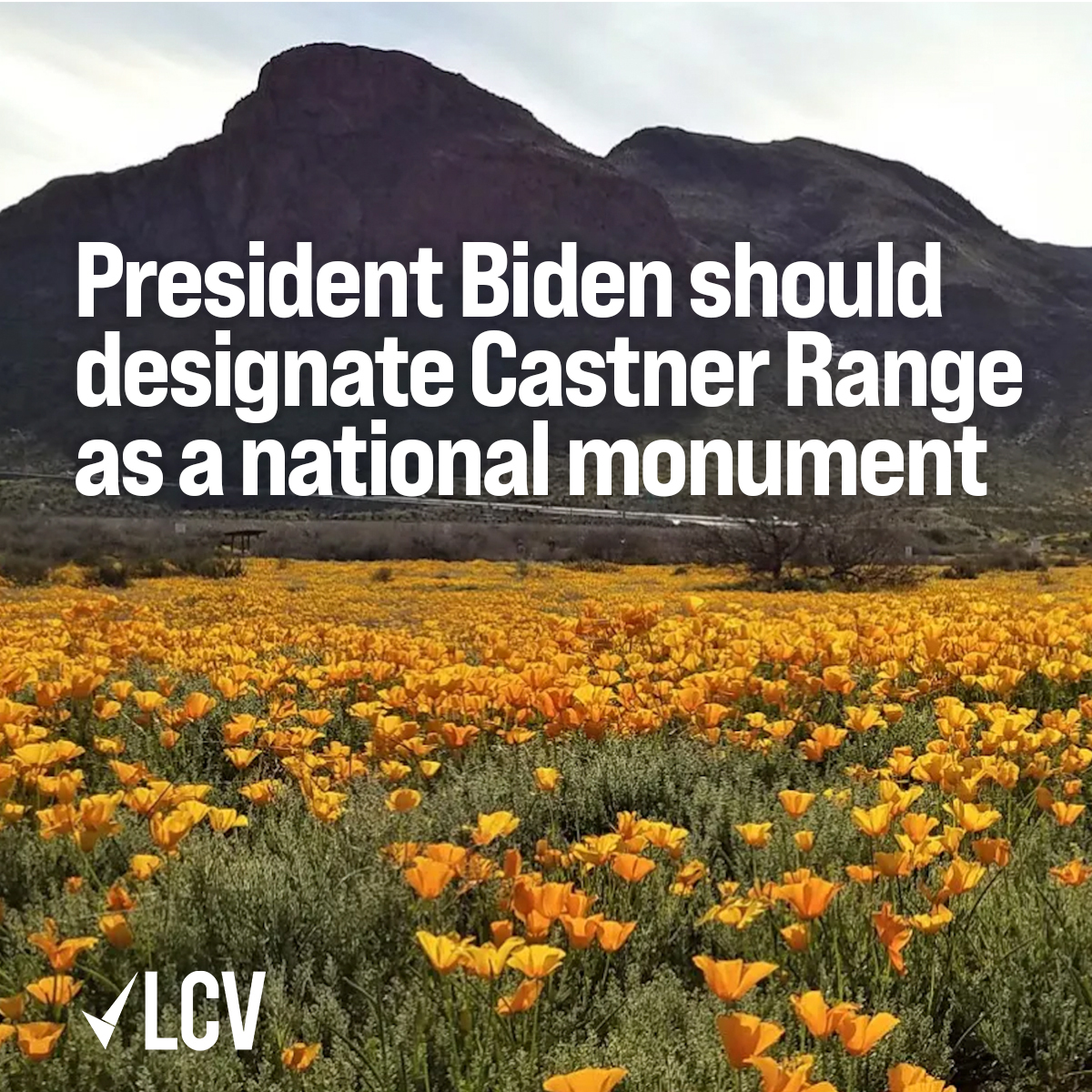 Today is the 116th birthday of the #AntiquitiesAct, which gives <a href="/POTUS/">President Donald J. Trump</a> the authority to create national monuments.

Castner Range in West Texas is home to several endemic species and a rich cultural history.

<a href="/POTUS/">President Donald J. Trump</a>: Designate Castner Range as a national monument 🗣️ #Castner4Ever
