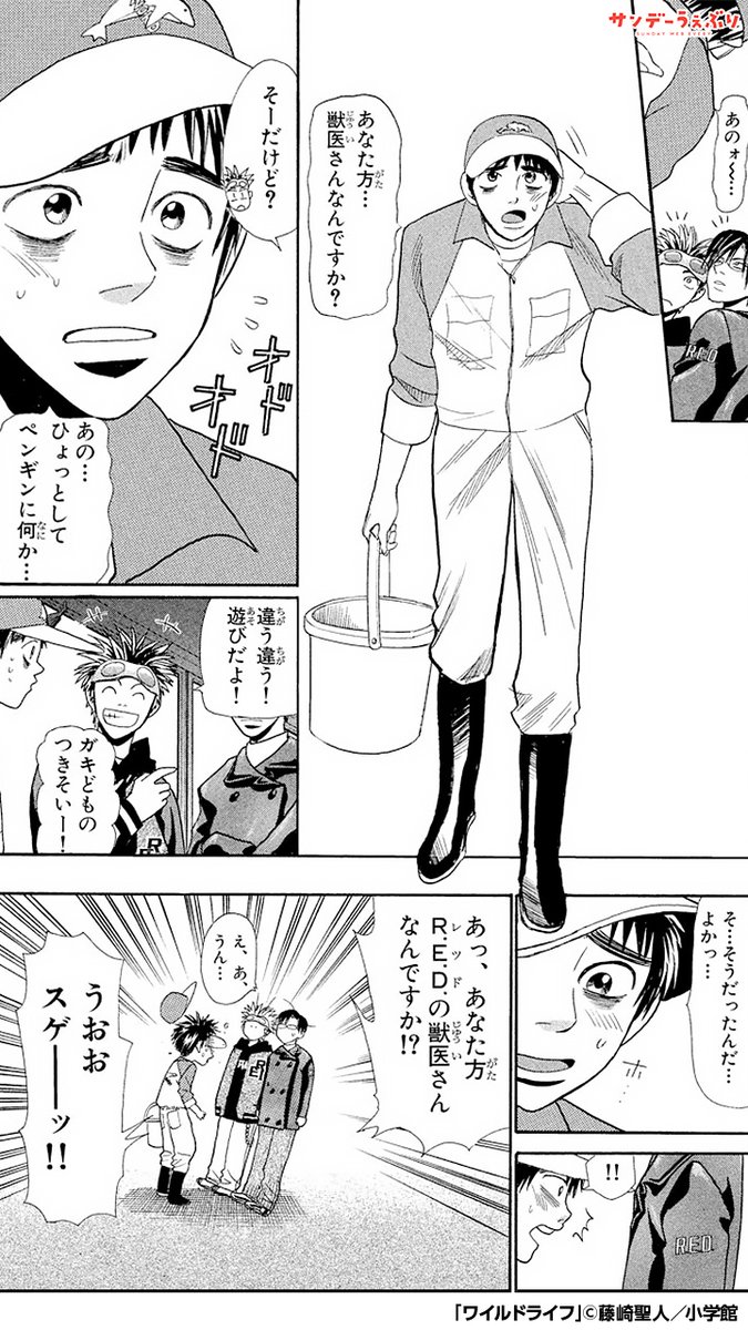 さんちゃん サンデーうぇぶり イチオシ漫画紹介 カビが原因で呼吸困難になってしまったペンギンたち 原因はペンギン舎にあるものとばかり思っていたが 1 4 ワイルドライフ Pr 漫画が読めるハッシュタグ Lt Lt Lt 続きを読む Gt Gt Gt