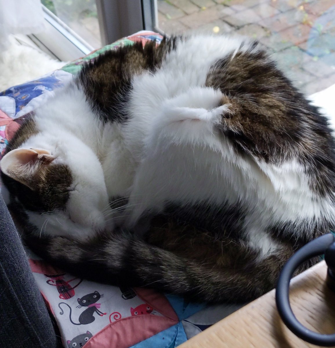 Louise Quick tweet media