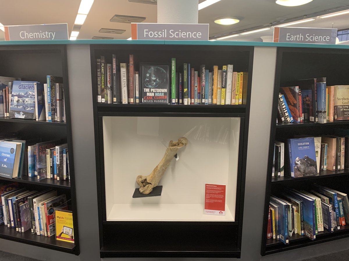 RedbridgeMuseum's tweet photo. Don't forget our #HiddenMuseum amongst the shelves at @RedbridgeLibs! https://t.co/1e9HGXHeH3