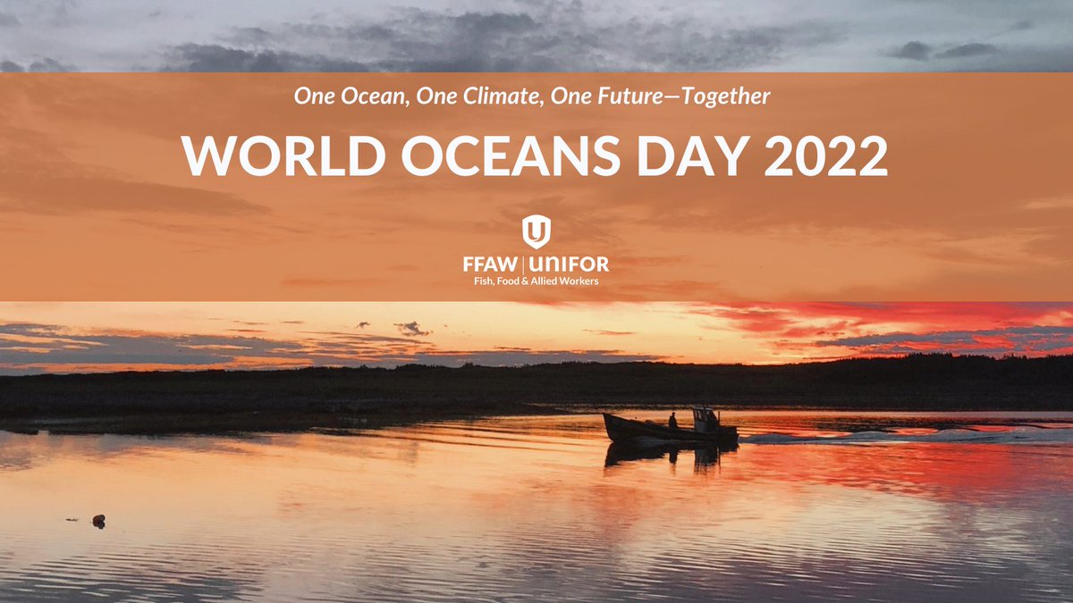 🌊 Happy #WorldOceansDay! Over the past year, 28 harvesters chartered by FFAW removed over 16 tonnes of Abandoned, Lost, or Discarded, Fishing Gear (ALDFG) from NL waters. Check out the interactive spatial map to see what was removed from these sites👀: 
ffaw.ca/app/uploads/20…