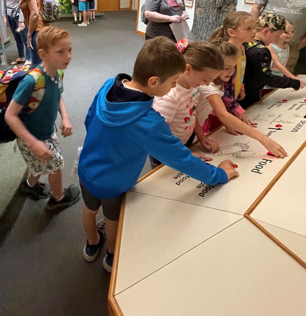 BarnsteadSchool's tweet photo. Mrs. Colón’s class Field Trip at Squam Lakes Science Center! https://t.co/KhATGlBeyQ