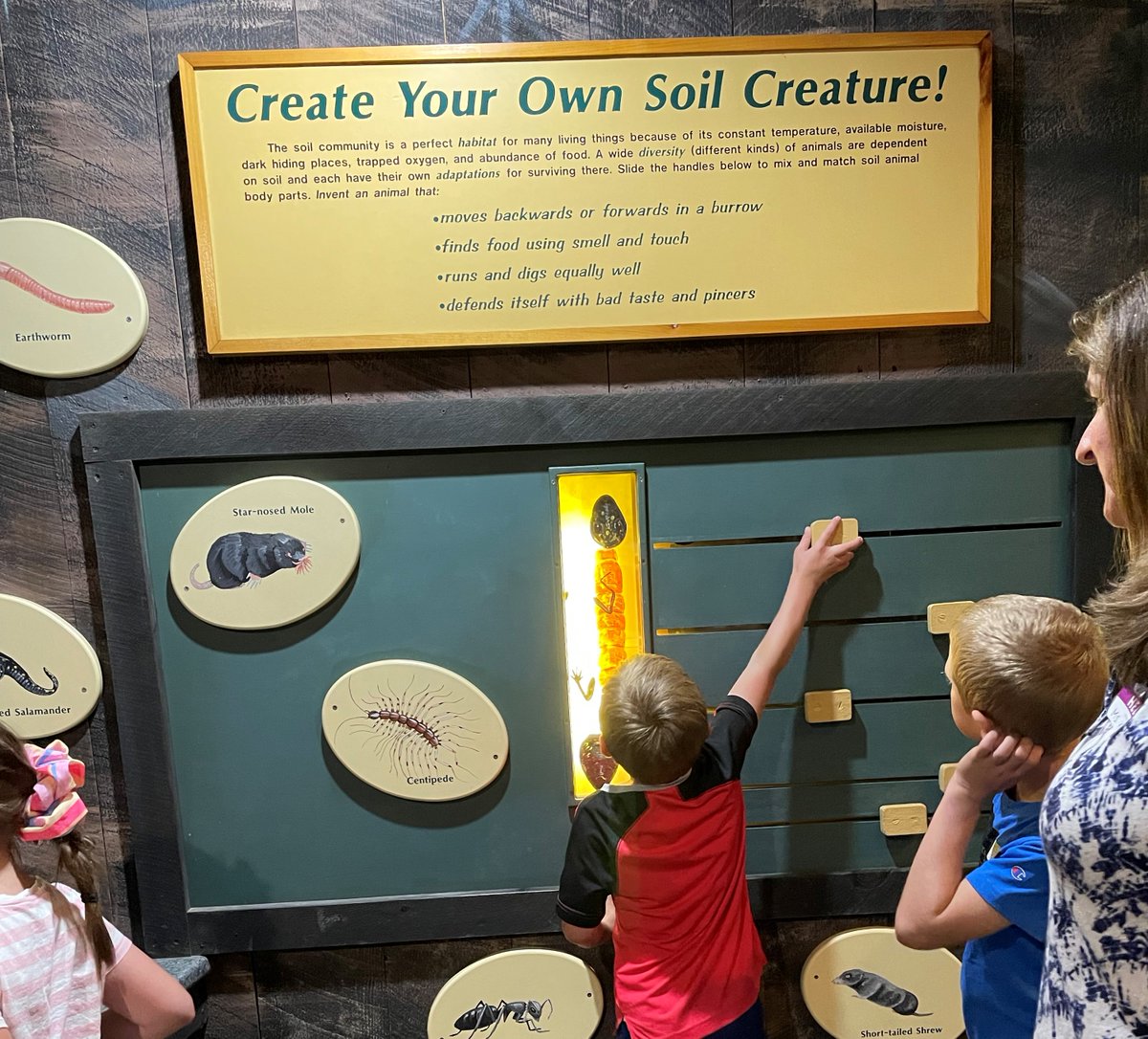 BarnsteadSchool's tweet photo. Mrs. Colón’s class Field Trip at Squam Lakes Science Center! https://t.co/KhATGlBeyQ