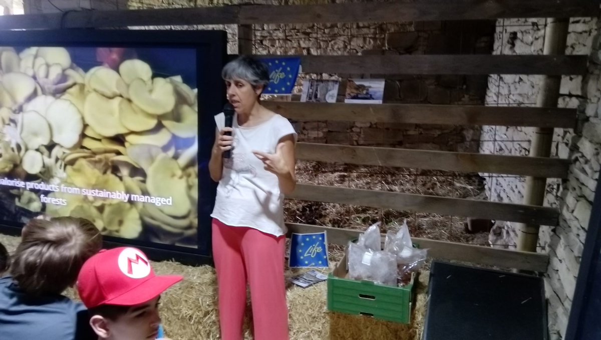 LIFE MycoRestore tweet media