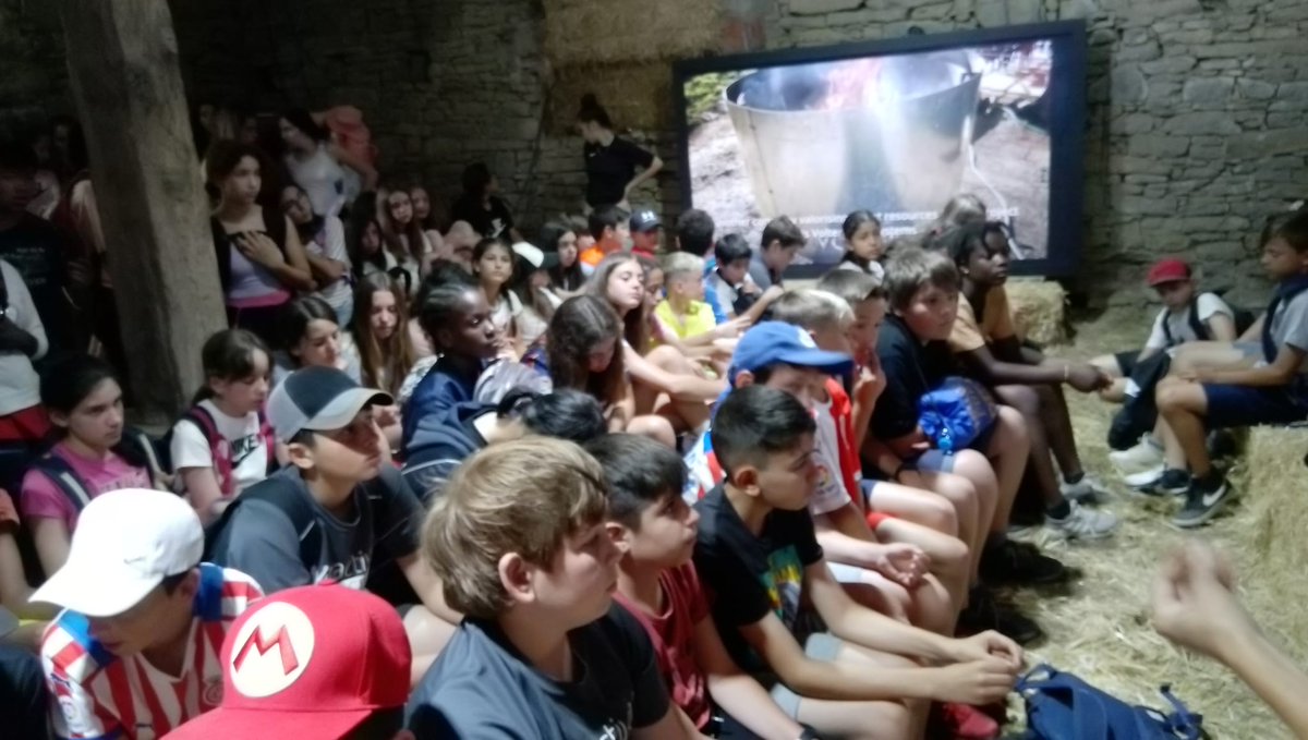 LIFE MycoRestore tweet media