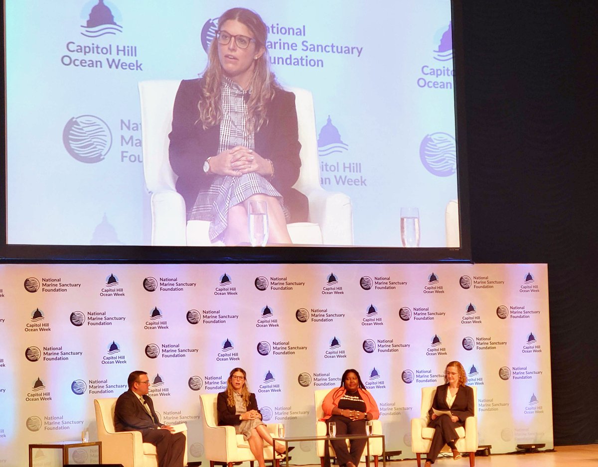 Schmidt Ocean tweet media