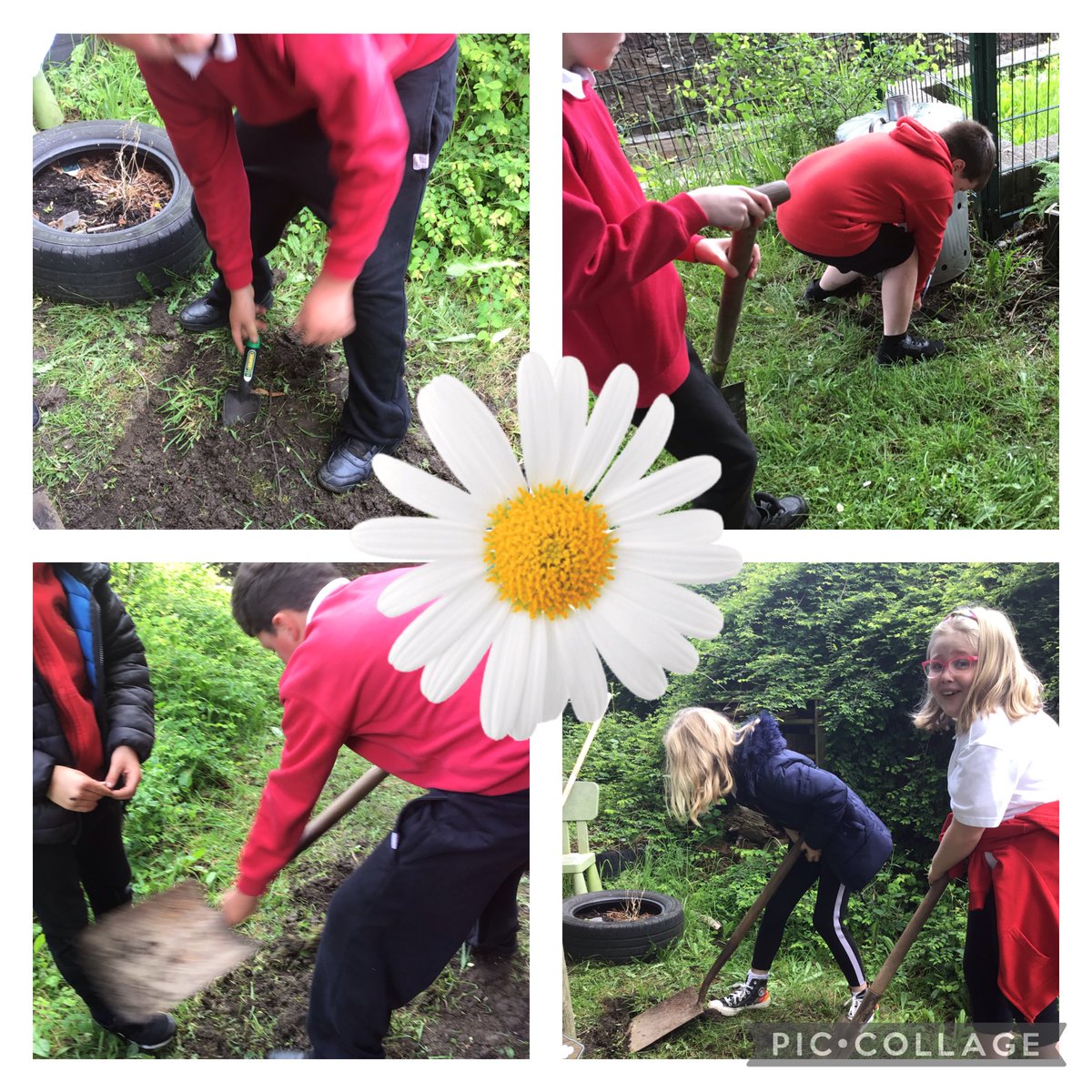 GPSMrsLEvans tweet media