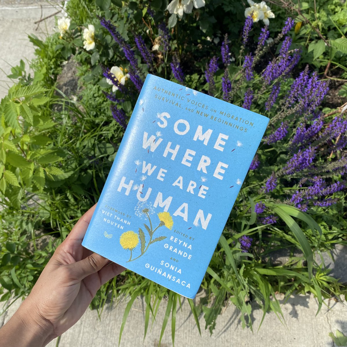 Please join us in wishing a very happy publication to SOMEWHERE WE ARE HUMAN, a unique collection of 41 groundbreaking essays, poems, and artwork by migrants, refugees and Dreamers. Learn more and find your copy: harpercollins.com/products/somew…