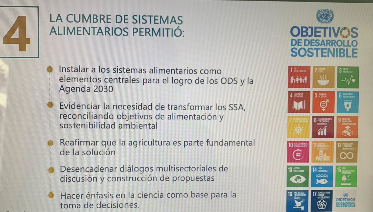 Leticia Deschamps S tweet media