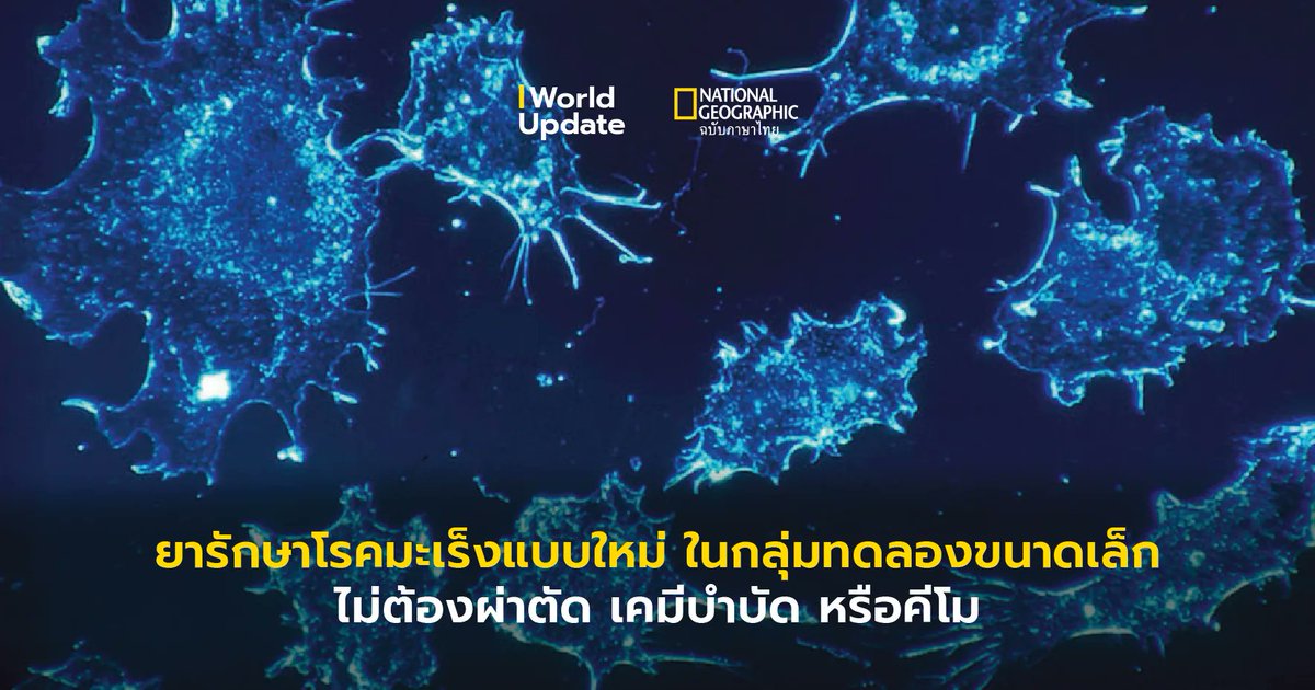 NatGeoMagTH's tweet photo. ครั้งแรกของโลก ยารักษาโรค #มะเร็ง ใหม่ได้ผล 100% ในกลุ่มทดลอง 18 ราย ไม่ต้องผ่าตัด เคมีบำบัด หรือคีโม โดยทีมวิจัยจากศูนย์มะเร็ง Memorial Sloan Kettering Cancer Center (MSKCC) นิวยอร์ก https://t.co/SwATOs4Vib