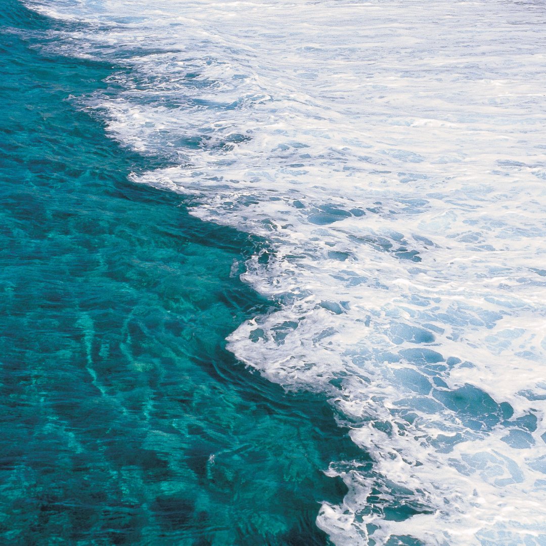 Canadian Rivers Institute tweet media