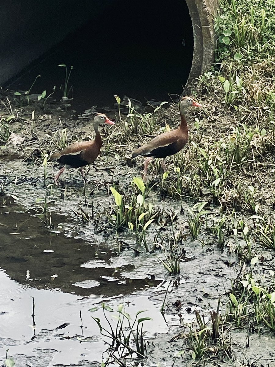 PFXttv's tweet image. So we’re thinking about opening up a photography business what do y’all think just some samples of some picks  #picture #photography #Photoshop #portfolio #photooftheday #professional #photographers #photo