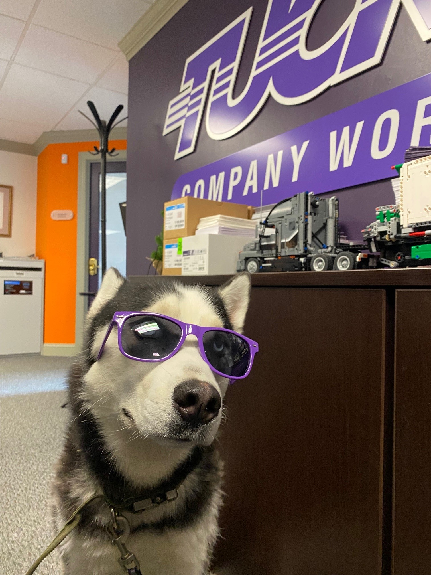 Tucker Company Worldwide on Twitter: "We love our fur babies at Tucker