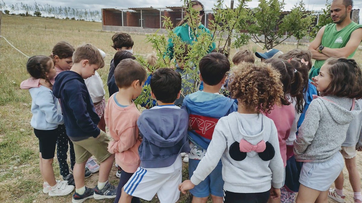 ColegiosElValle's tweet photo. En el #huerto🌱 nos han estado explicando muchas cosas de los #árboles 🌳
#ColegiosElValle #3INFD #SCH #AuladeNaturalezaEmilioHurtado #ElValle https://t.co/K3rY7BjhhT