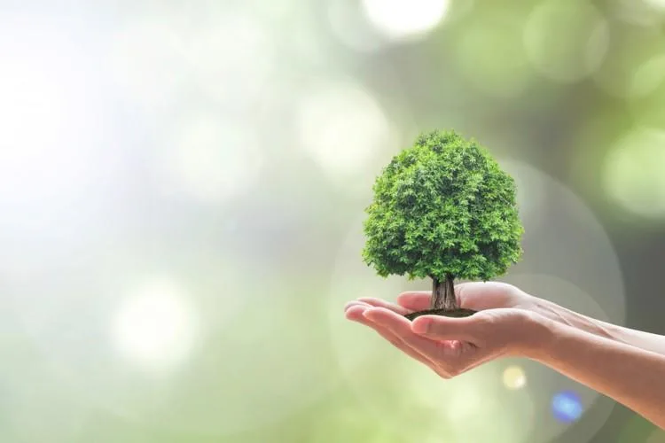 SpctacularSolar's tweet photo. Check this article out! 15 of the most sustainable companies In the United States. #sustainableliving  #gogreen #earthconscious #earthfriendly #plasticfree #amazing #spectacularsolar #SPSO 15 Most Sustainable Companies In the United States https://t.co/8e4J7otyUt via @Yahoo https://t.co/AQP5S2x2x4