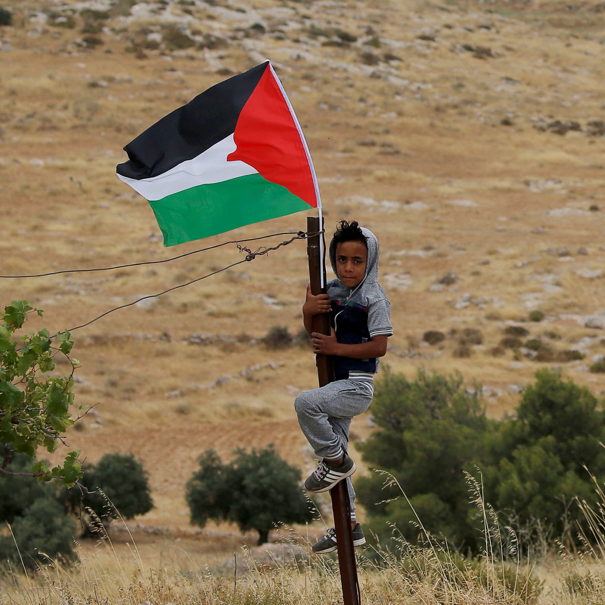 ajplus's tweet image. UN investigators say Israel has "no intention" of ending its illegal occupation of Palestinian lands.

The report, which Israel refused to cooperate with, says Israel seeks "complete" control of Palestinians and their land, using forced displacement, unequal law and settlements.