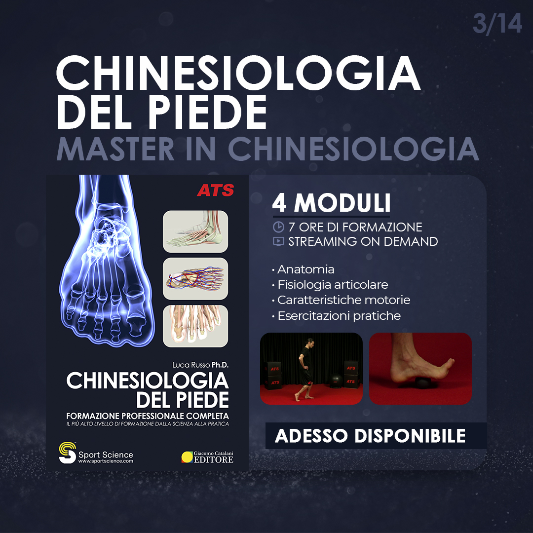 Sportsciencecom's tweet photo. ✅ ADESSO DISPONIBILE!

CHINESIOLOGIA DEL PIEDE

Disponibile su https://t.co/5QXUhYhk0n nell'area on demand

#SportScience #Chinesiologia #Piede https://t.co/ceig1PuXXL