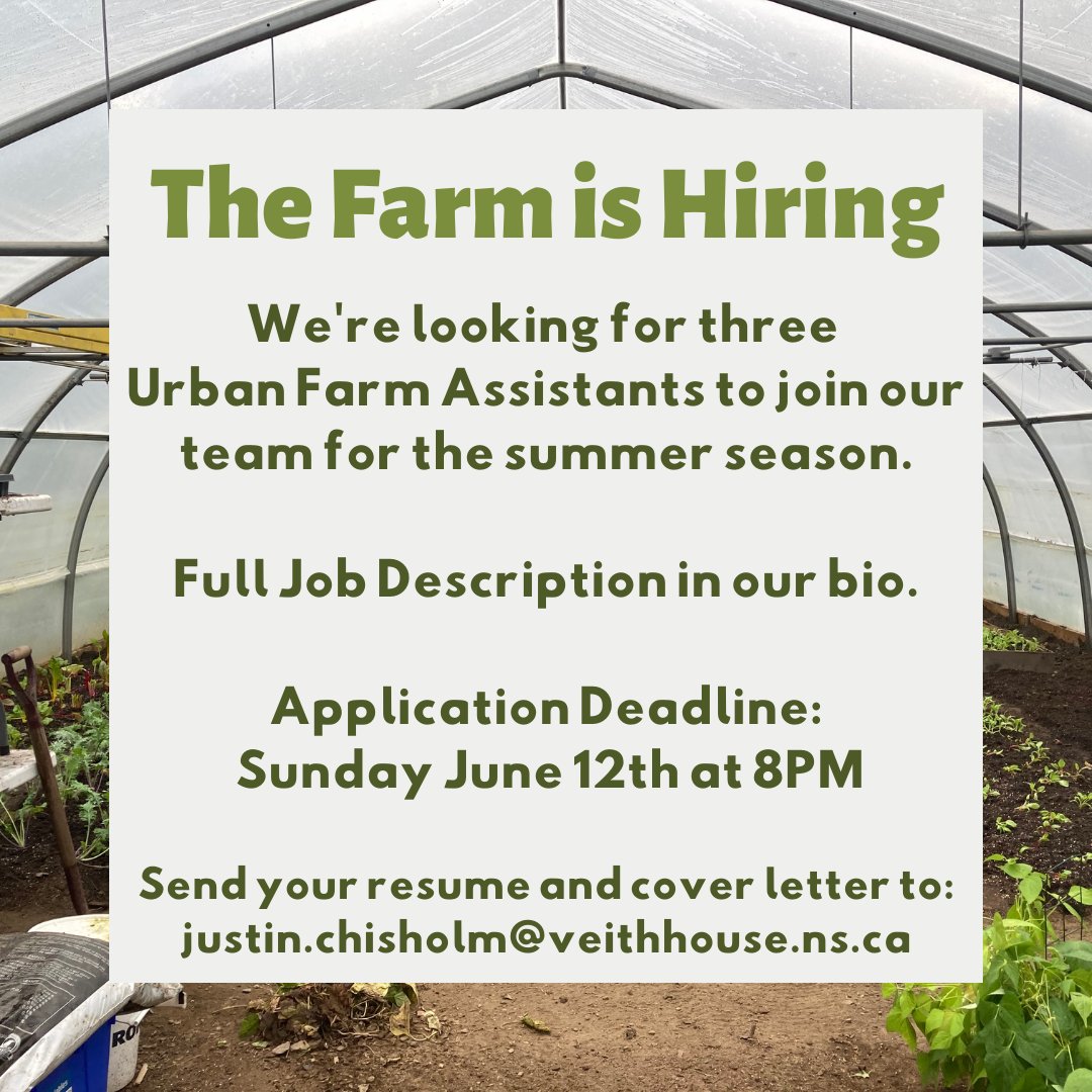 VeithHouse's tweet photo. The Urban Farm team is growing! Come work on farm operations and program development.
Hiring 3 Urban Farm Assistants through Canada Summer Jobs (18-30 years old).
8 weeks // 35 hours/week // $13.35/hour
#urbanfarm #veithhouse #halifaxnoise #hiring https://t.co/hgeWKQ37Do