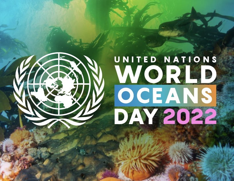 CollectionReef's tweet image. Today is #WorldOceansDay! It’s time to discover why it’s important to protect our oceans and marine ecosystems. Check out this blog post by our friends at @coral_org to start learning: bit.ly/3m6eVJC
.
.
@CollectionReef 
.
#coralreefalliance #coralreefs #WorldOceansDay