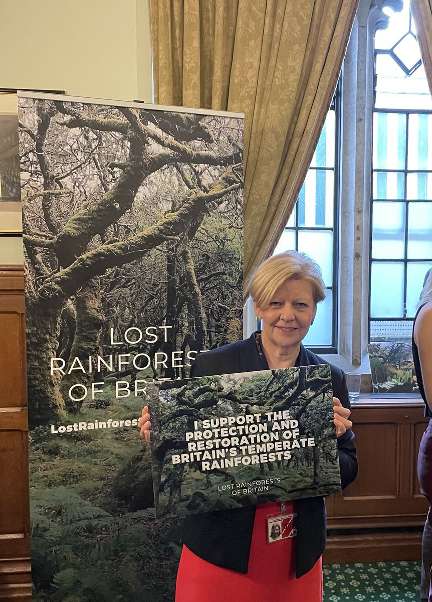Excellent event highlighting the rare temperate rainforests in the U.K. and their contribution to nature recovery ⁦<a href="/LostRainforests/">Lost Rainforests of Britain</a>⁩