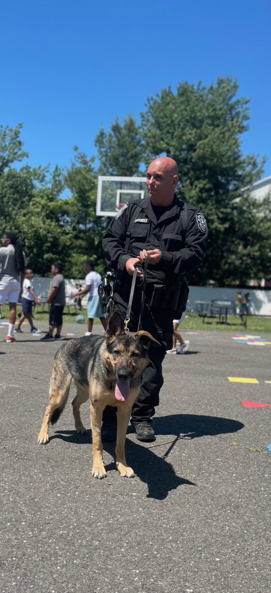 USPPNEWS tweet media