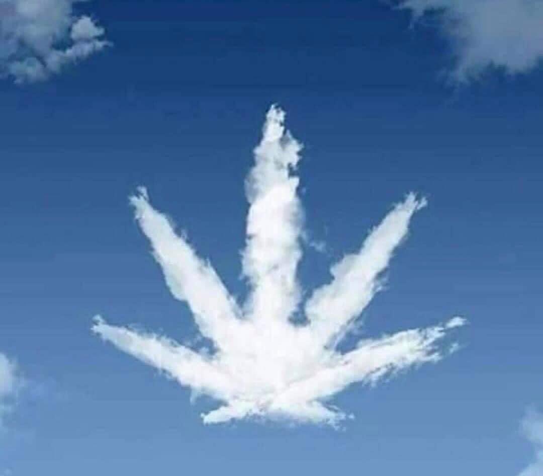 CA Chemtrails (@cachemtrails) on Twitter photo 