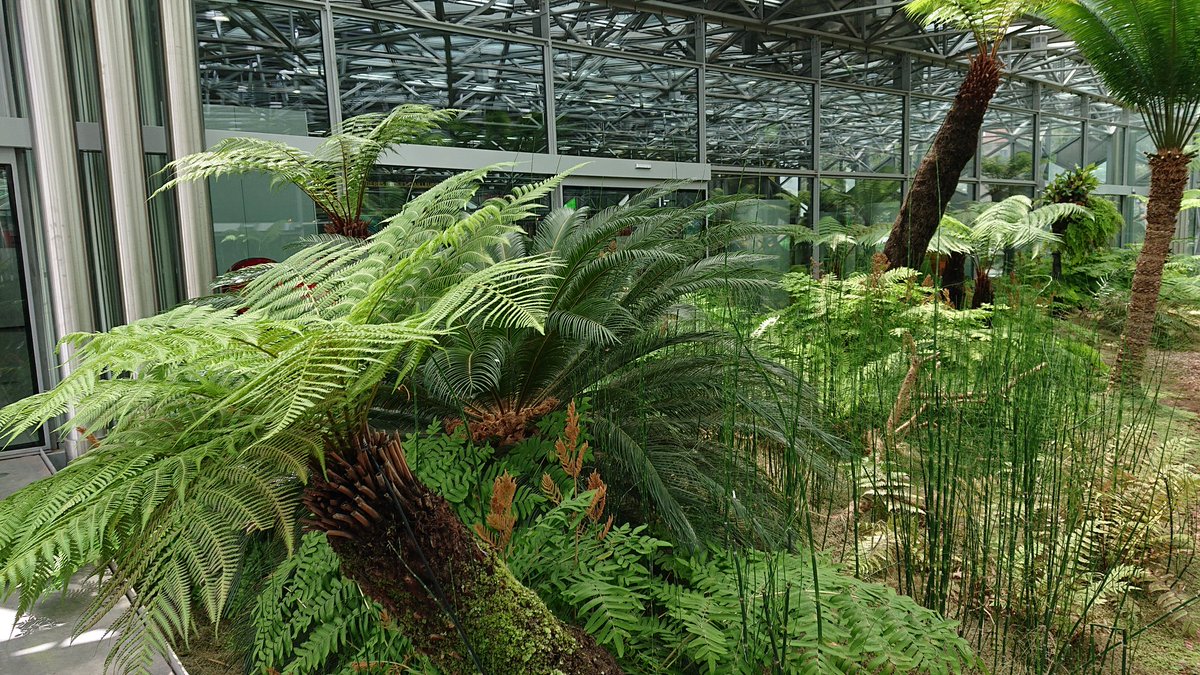BerangereCrea's tweet photo. Oui, oui, la @BiennaleDesign, c'est aussi du #vert et des #plantes, mais aussi de superbes exemples des #capacites #creatives des #organisations ! https://t.co/yq0WSRijM9