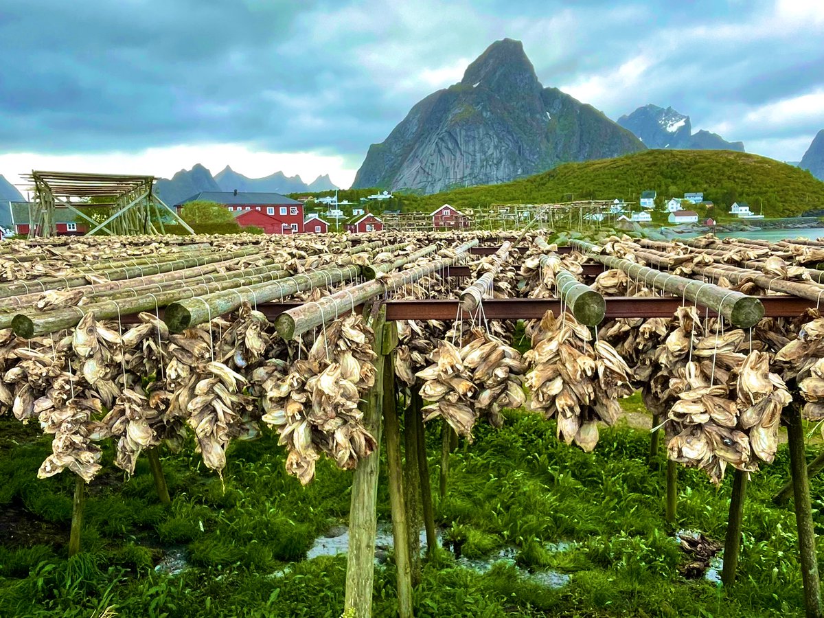 Benjamin Stoll tweet media