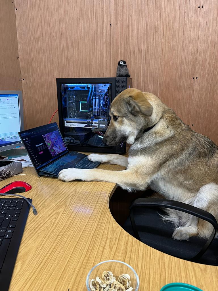 p4rma's tweet photo. Even my dog uses @MagicEden 🐕‍🦺🪄 https://t.co/TJeUMaGT0X