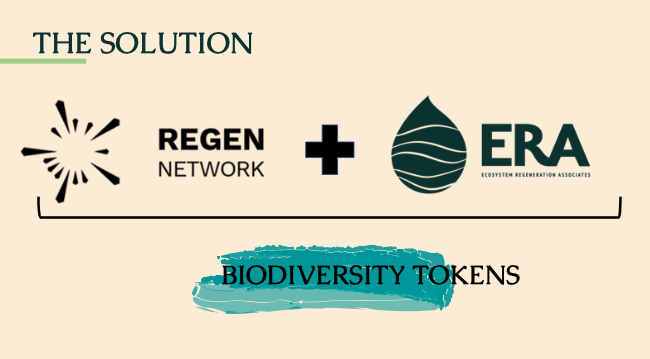 Progress of new #Biodiversity methodology for #tokenization and regeneration of species habitat is moving well🌿🌎✨ Stay tuned for new #web3 innovations coming in 2022 from <a href="/regen_network/">Regen Network</a> @builtonregen