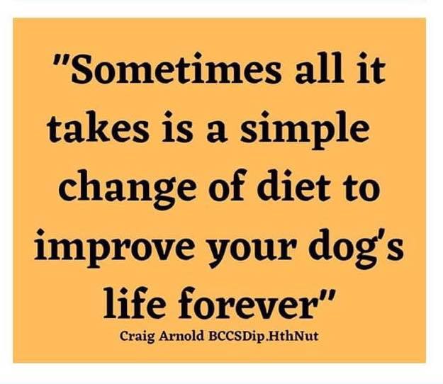 leerburg's tweet photo. t is incredible how many health issues can be caused by a bad diet in people, cats, and dogs. Feeding a fresh, species-appropriate diet can help to reduce inflammation, prevents digestive intolerance, and prevents premature aging of cells. #FeedFresh #RawFed https://t.co/nkiEEkNwuU