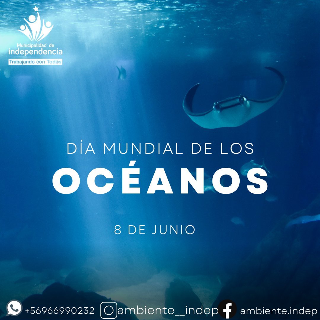 El 8 de junio se celebra el Día Mundial de los Océanos,una fecha establecida por la ONU con el objetivo de reconocer la importancia que tienen los océanos en el planeta.Los océanos son el principal pulmón del planeta, ya que son los responsables de generar gran parte del oxígeno.