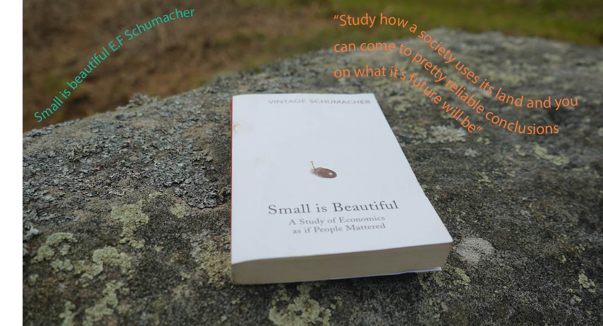 Climate Explorers tweet media