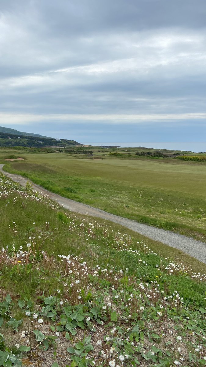 Sherry Middaugh tweet media