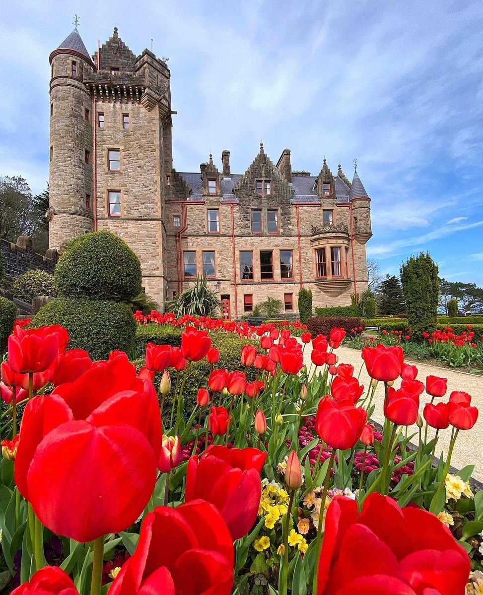 Belfast Castle is located in the Cave Hill area of North Belfast. 📍
It was built in the 1860s and is one of the city's most famous landmarks. ✅

(📸→ travellernorthernireland)

#BelfastCastle #VisitBelfast #BelfastPhotography