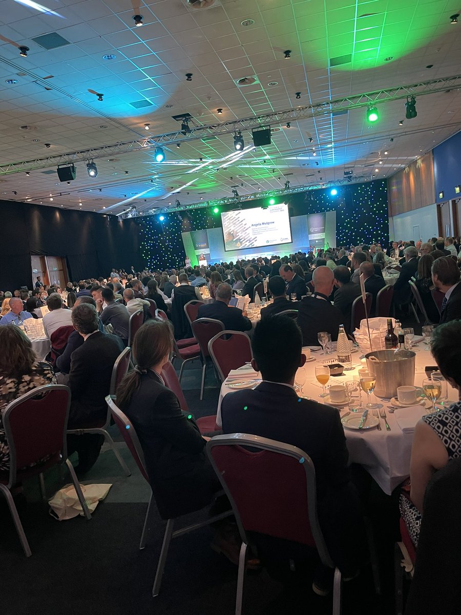 Professor Hisham Elkadi tweet media