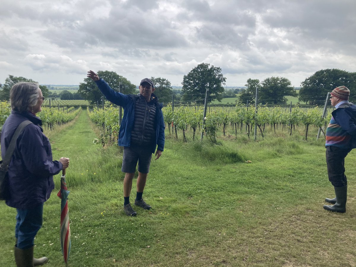 ElysiaBartel's tweet photo. I had a fascinating day at the @sesoil viticulture/soil science event talking about flooding, microorganism interactions with weed control and agronomy. 
Not to mention a tour of the beautiful vineyard 🍇 and some delicious wine tasting 🍷with our hosts @gusbourne https://t.co/HktIiHtlyJ