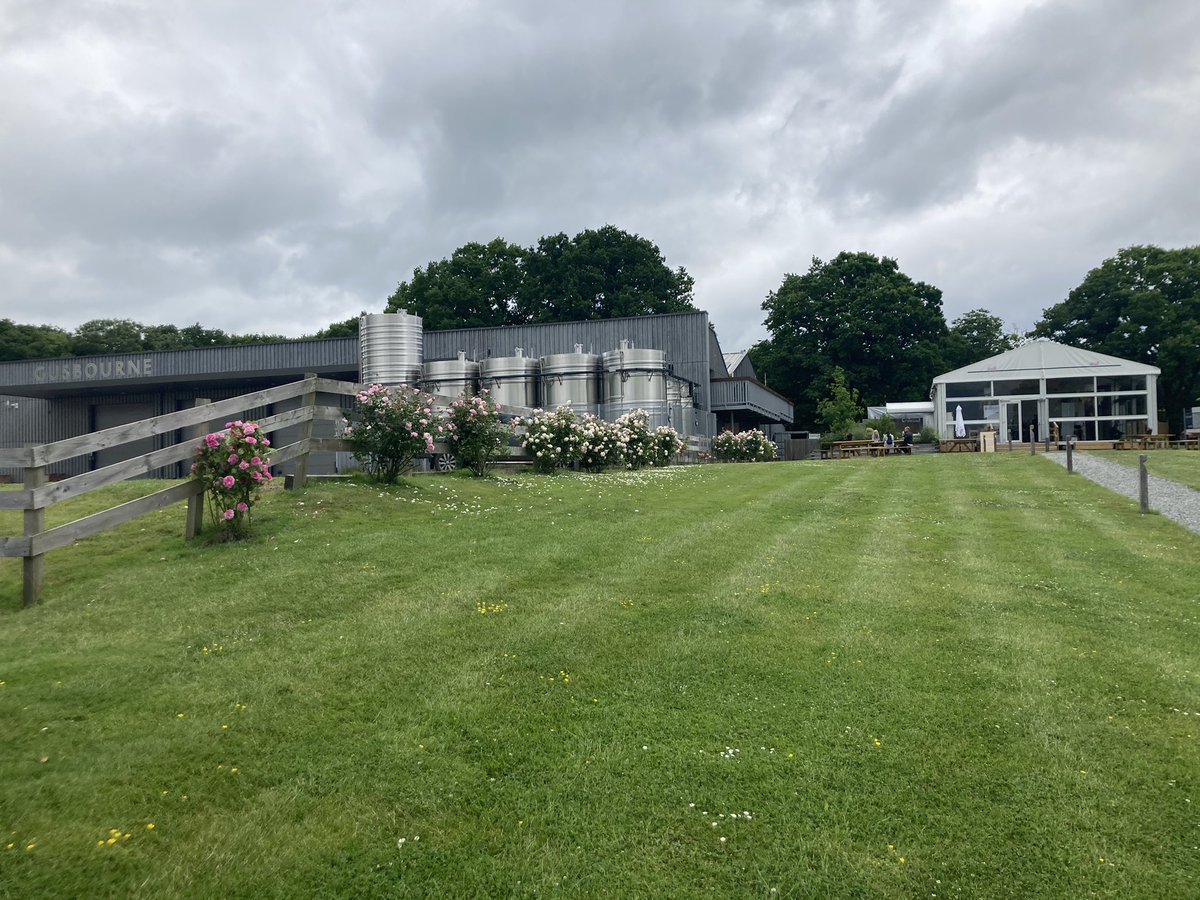 ElysiaBartel's tweet photo. I had a fascinating day at the @sesoil viticulture/soil science event talking about flooding, microorganism interactions with weed control and agronomy. 
Not to mention a tour of the beautiful vineyard 🍇 and some delicious wine tasting 🍷with our hosts @gusbourne https://t.co/HktIiHtlyJ