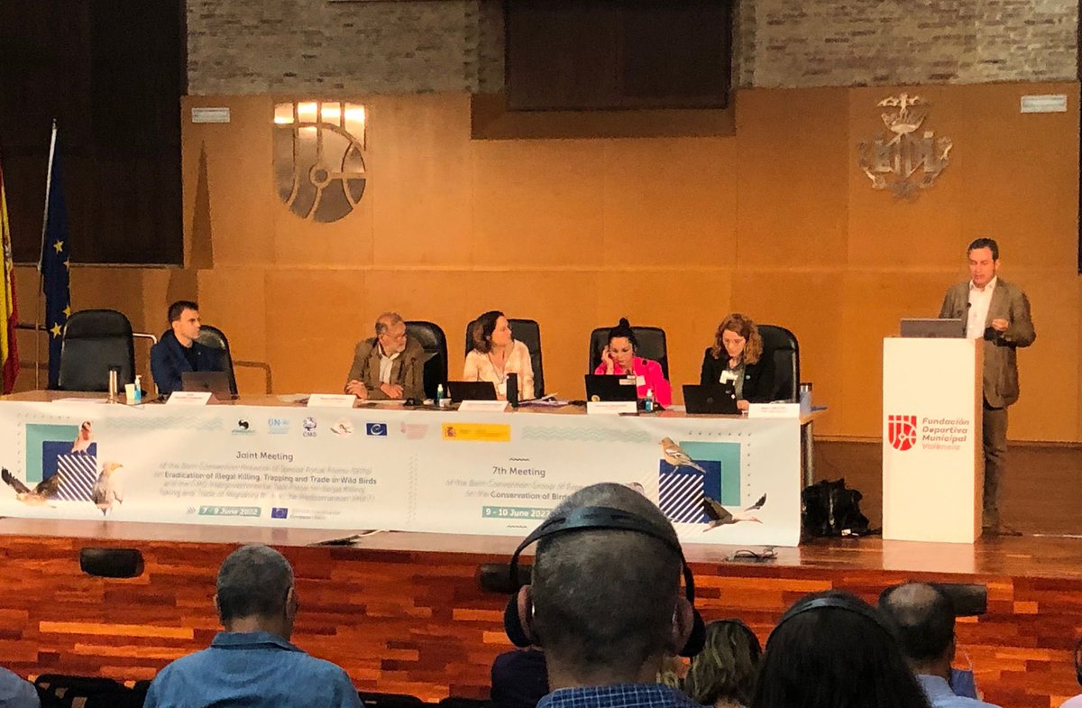 Muchas gracias a <a href="/rubenmorenoopo/">Rubén Moreno-Opo</a> de <a href="/mitecogob/">Transición Ecológica y Reto Demográfico</a> por compartir la metodología utilizada en España para cuantificar los casos de caza y captura ilegal de aves. Juntos aprendemos para avanzar. #MIKT