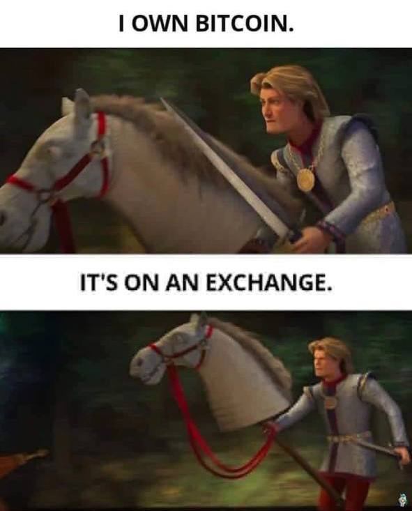 Bitcoin's tweet image. Remember, not your keys; not your coins.