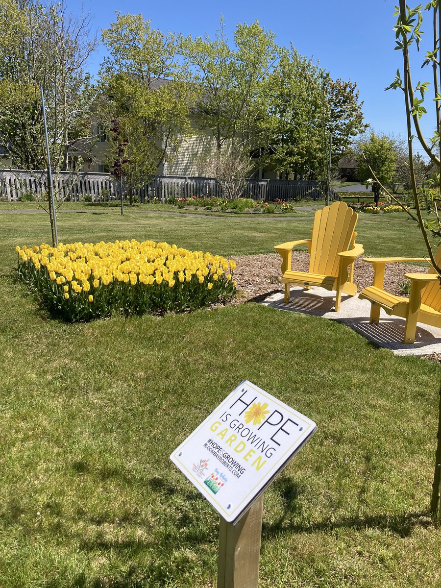 DelaneysRant's tweet photo. #tulips in Bloom and ready for the #nltulipfestival June 11-12, 2022 @CBCNL @nikmercer @SaltWireNetwork @MUNBotGarden @MunicipalNL @HospitalityNL @coast1011 @RealToniMarie @LegendaryCoasts @McCarthysParty #gardentourism @yetmanj @time4tulips https://t.co/vk0f2yBAYT