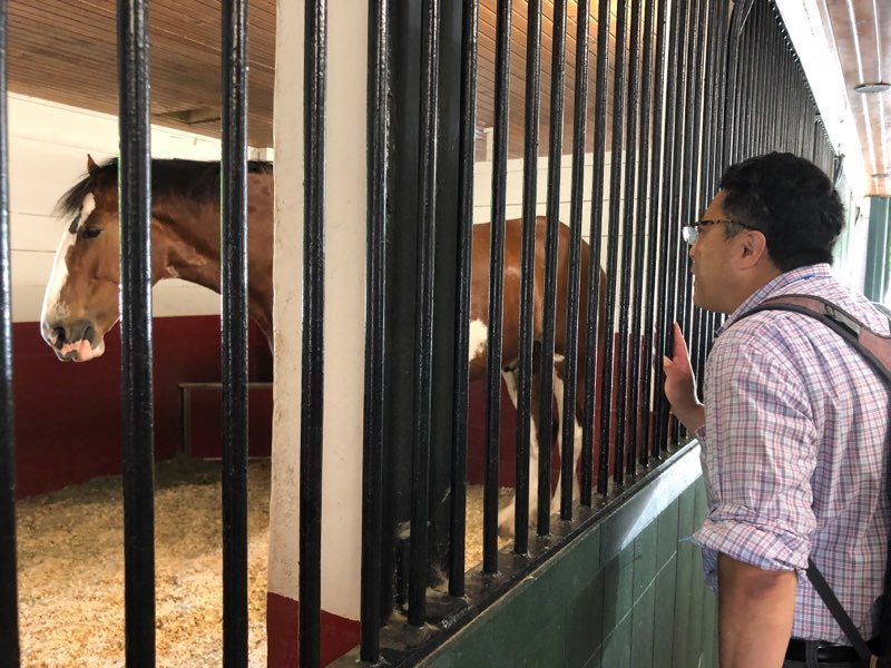Michael, from our sales team, talking to the horse about Astaxanthin and how it can help with azoturia or tying up. #astaxanthin #horse #horsehealth #supplement