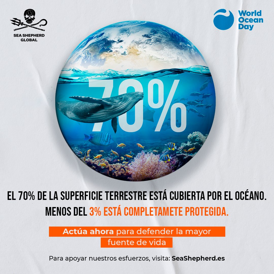 Sea Shepherd España tweet media