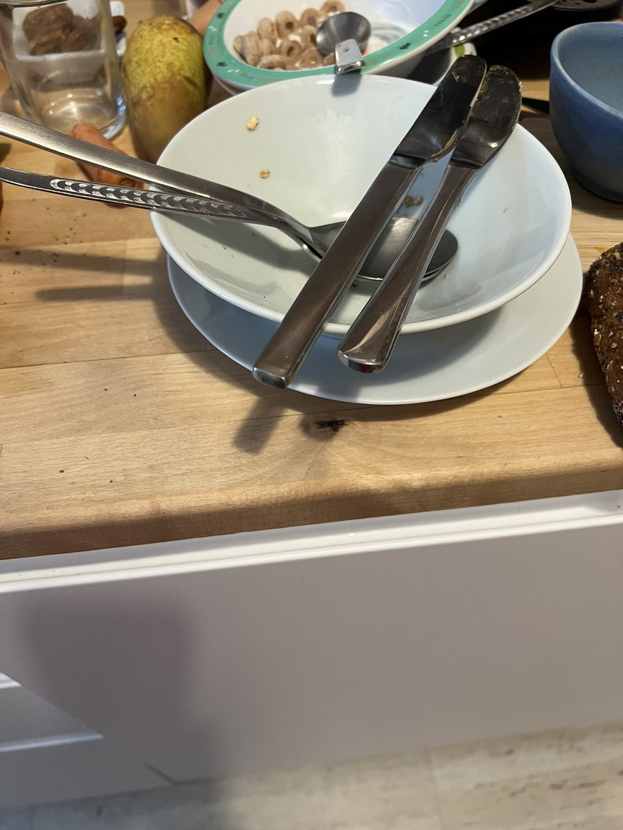 Werde wohl den Rest meines Lebens an #TanjaHaeusler und die #rp22 denken müssen, wenn ich auf unser schmutziges Geschirr auf dem Geschirrspüler schaue 🙈