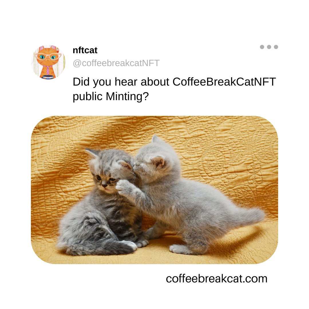 Public mint from coffeebreakcat.com! 
NFT Giveaways FREE - join gleam.io/U9CeA/coffee-b…

#NFTs #NFTCommunity #NFTgiveaway #SolanaNFT #coffeebreakcatnft