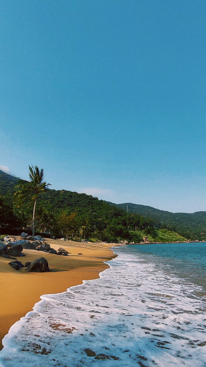 iris_nguyen88's tweet photo. Happy #WorldOceansDay!
Let's join hands to #SaveOurOcean and our future. 💙🌎 #BeatPlasticPollution #TeamSeas #OceanCleanup @Green_Beli https://t.co/o3NAJVtto7