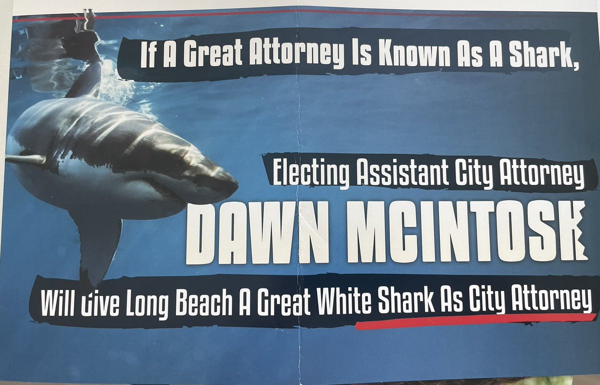 Left_Coasting's tweet image. For those not lucky enough to live in Long Beach, we’re celebrating major Dem wins down here. @RexRichardson first for Mayor! @RobertGarcia definitely heading to DC in Nov! Mary, Megan, Roberto, Joni crushing it! Honorable mention for the cycle’s oddest mailer, which worked 🤷🏽‍♀️