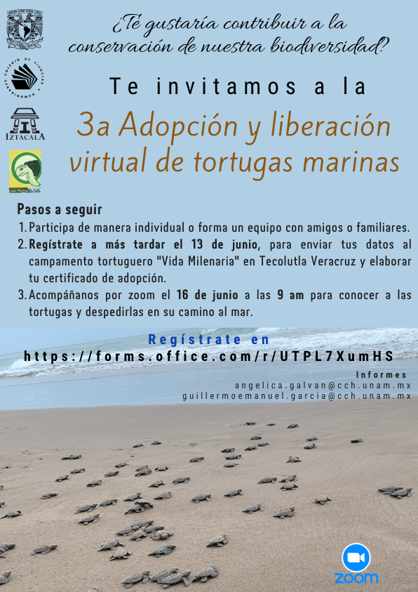 CCHUNAM's tweet photo. 3a Adopción y liberación virtual de tortugas marinas

Regístrate a más tardar el 13 de junio en:

https://t.co/eZV3kyaIHO

@CCHAzcapoUNAM @pulsocchn @CCHVallejo_Ofi @CCHOte_UNAM @cchsur_oficial https://t.co/DK16WKwldz